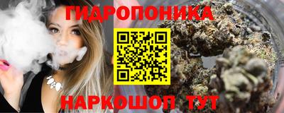 индика Майкоп