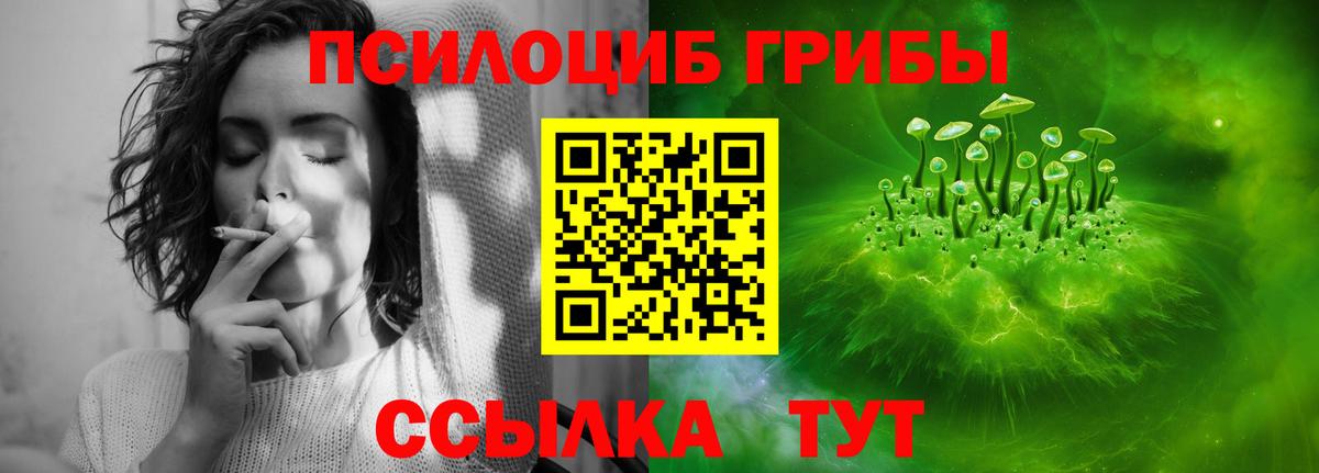 Псилоцибиновые грибы Psilocybe  Вход с VPN  Галлюциногенные грибы Magic Shrooms  Котлас 